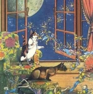 Meet your Posher, Sherry